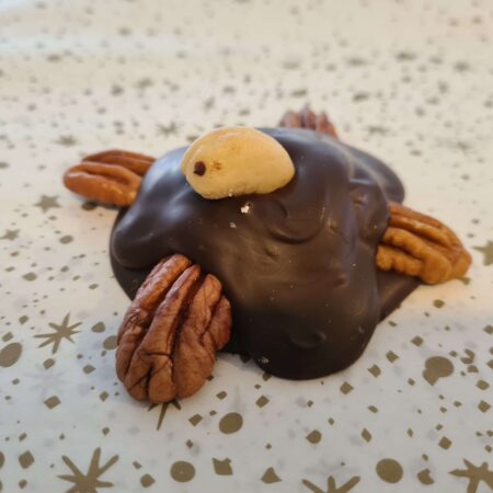 Tortuga de chocolate